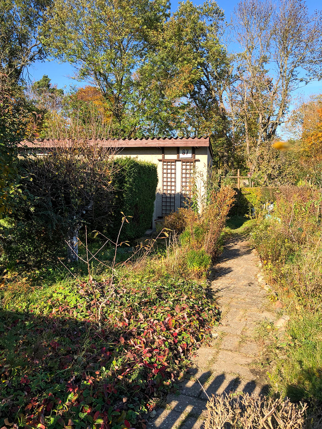 freie Gartenparzelle abzugeben